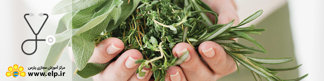 فروشندگی گیاهان دارویی